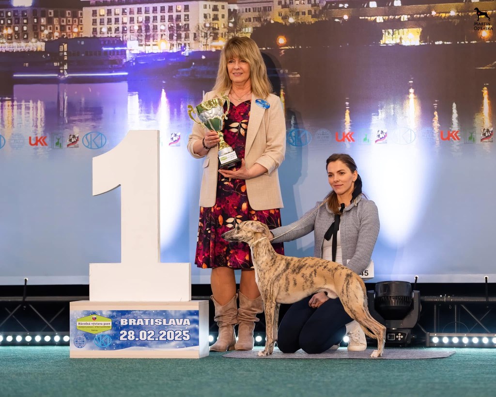 Dino is Junior Champion of Slovakia&nbsp;!