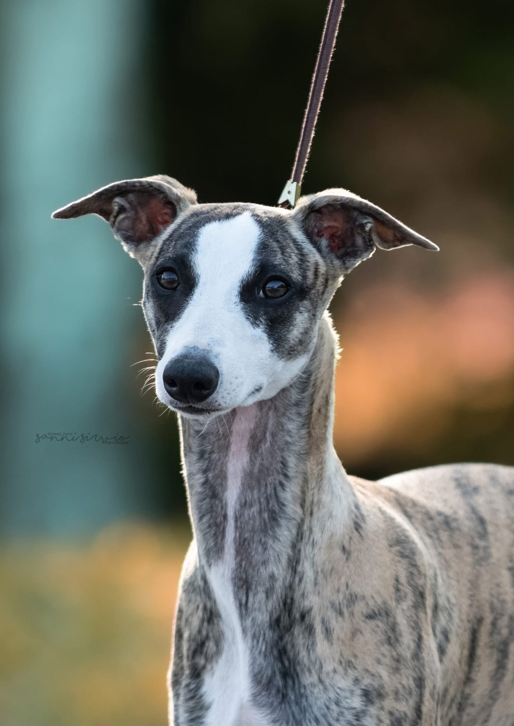 Successes of our&nbsp;Eleven