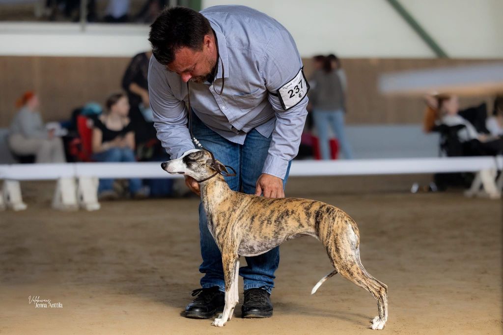 More successes of our Eleven&nbsp;!