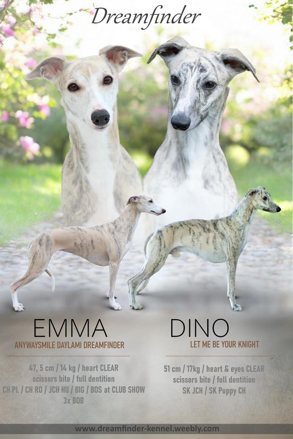 DINO will be a father for the first time&nbsp;!