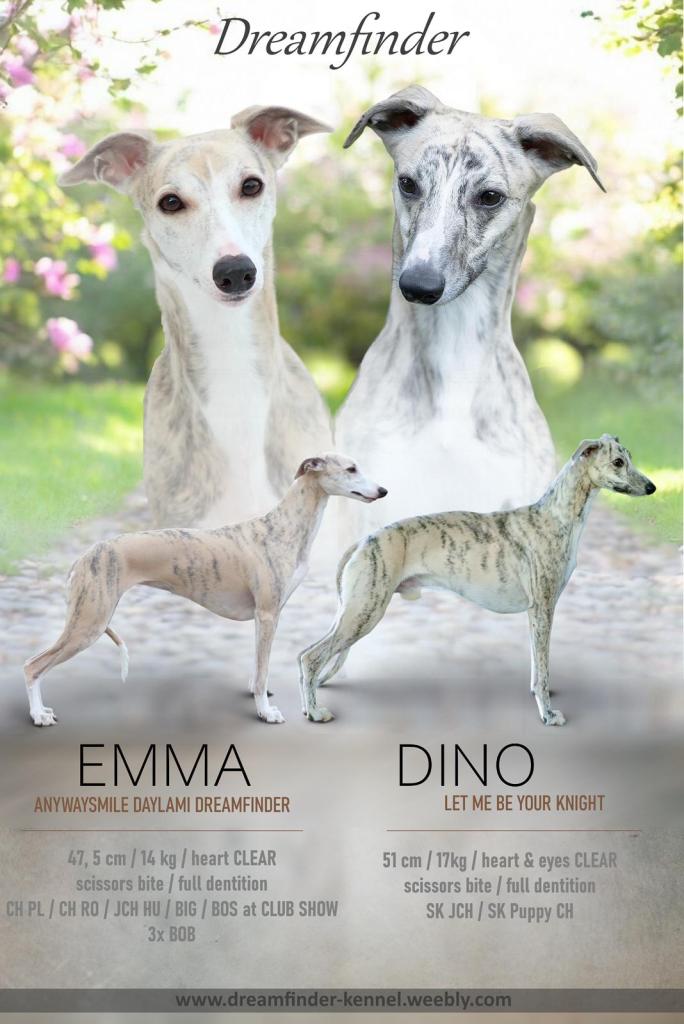 plagatik DINO a EMMA