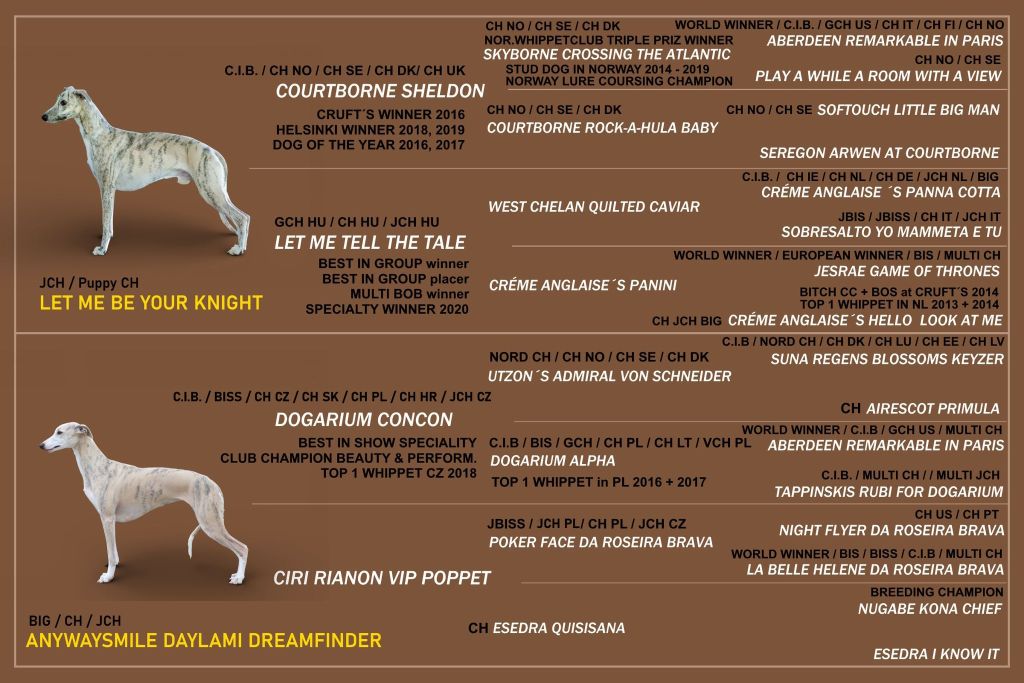 rodokmen DINO a EMMA