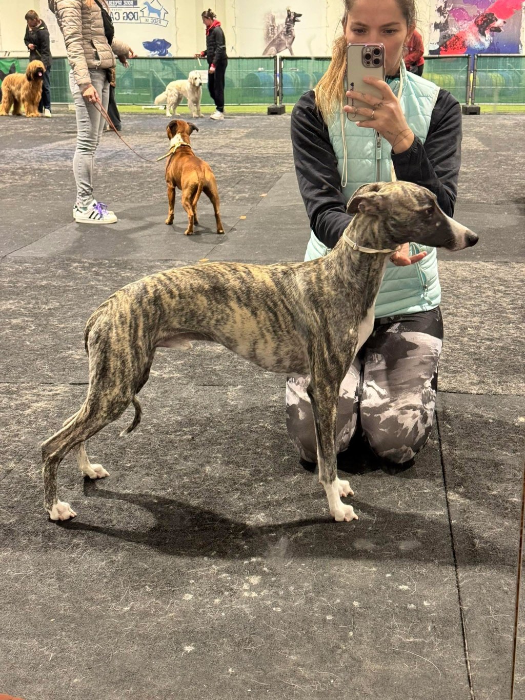 Extra Ordinary and his first show success&nbsp;!